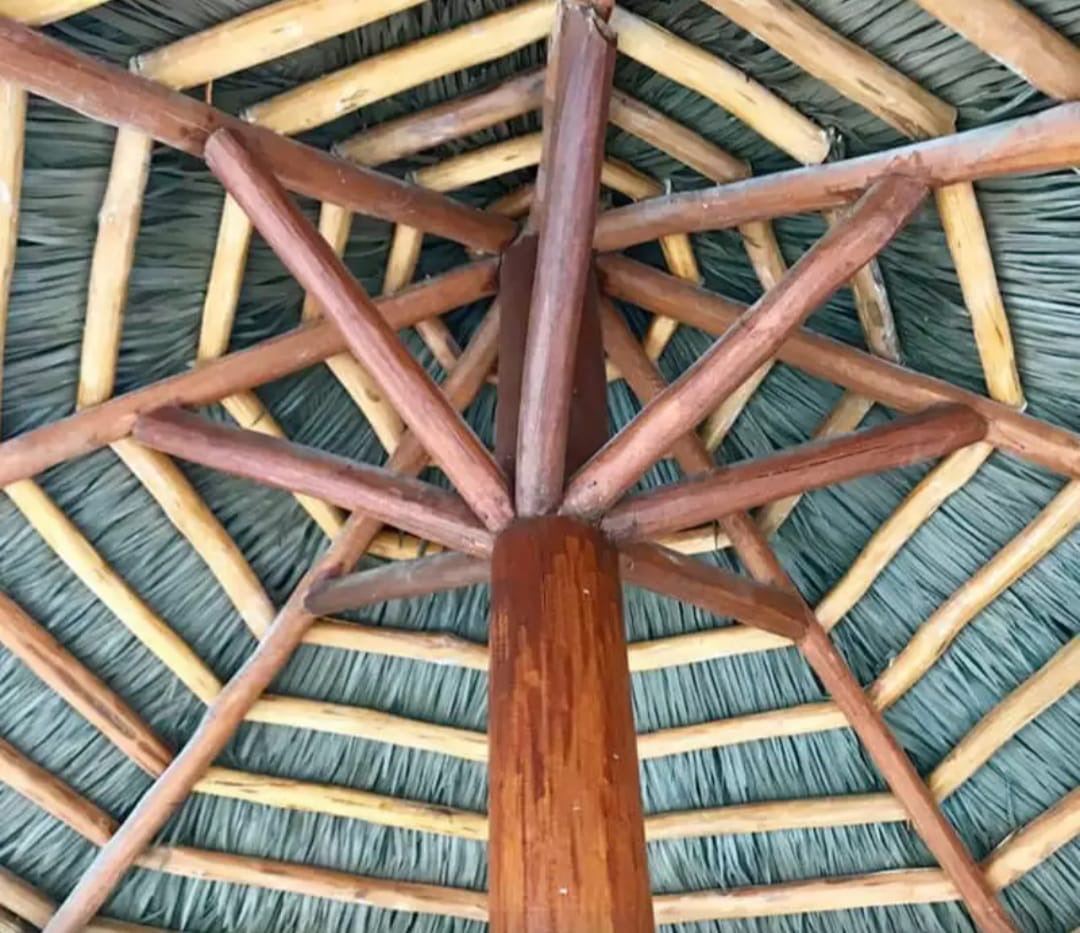 Techos de Palapa 2