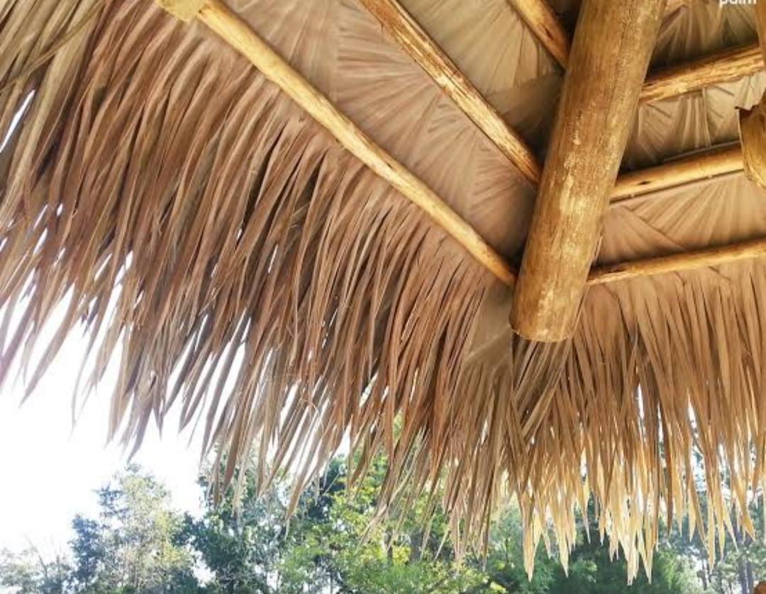 Techos de Palapa 3