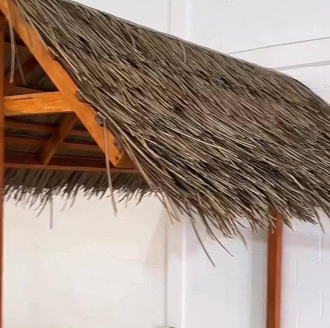 Techos de Palapa 1
