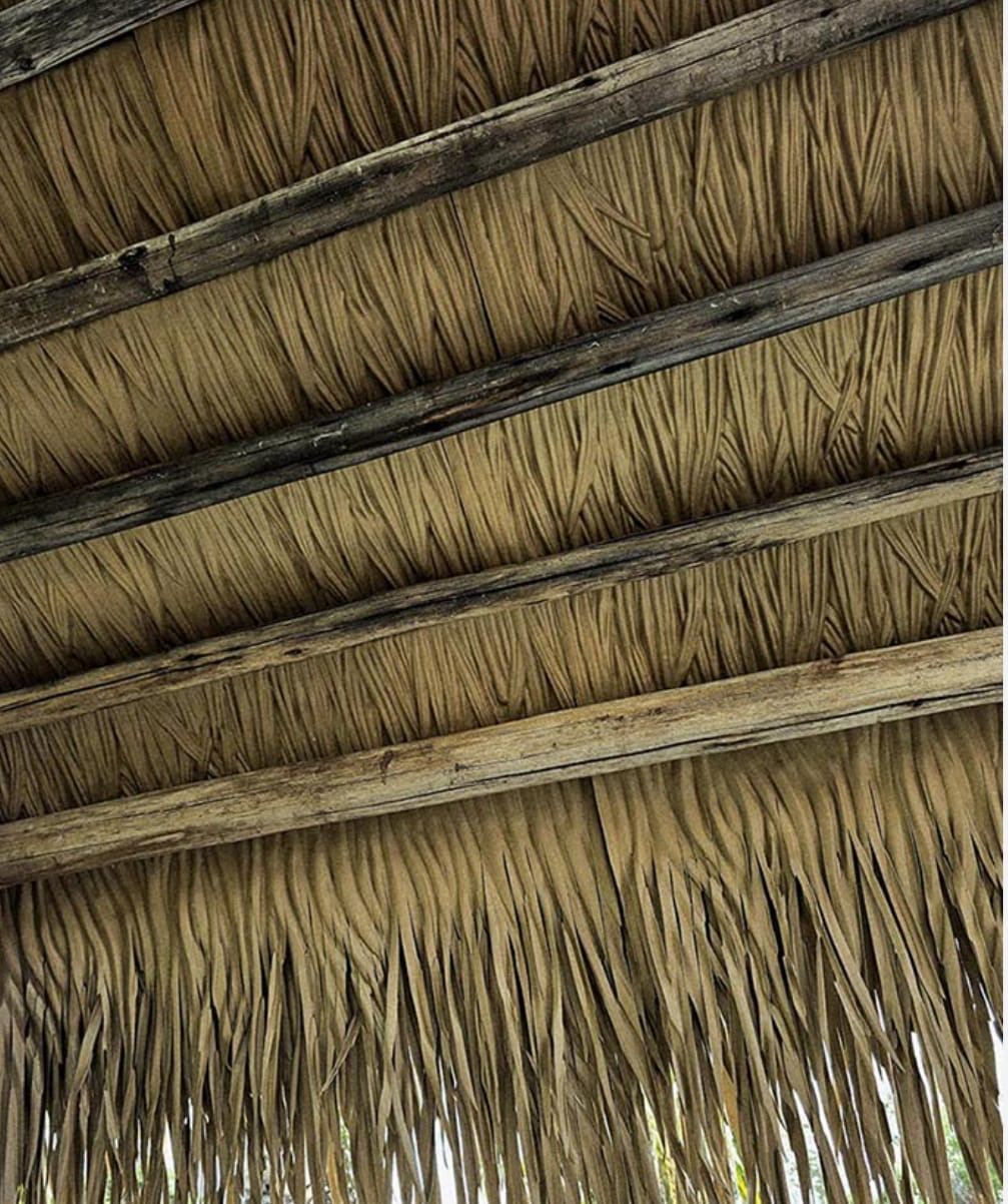 Techos de Palapa 4