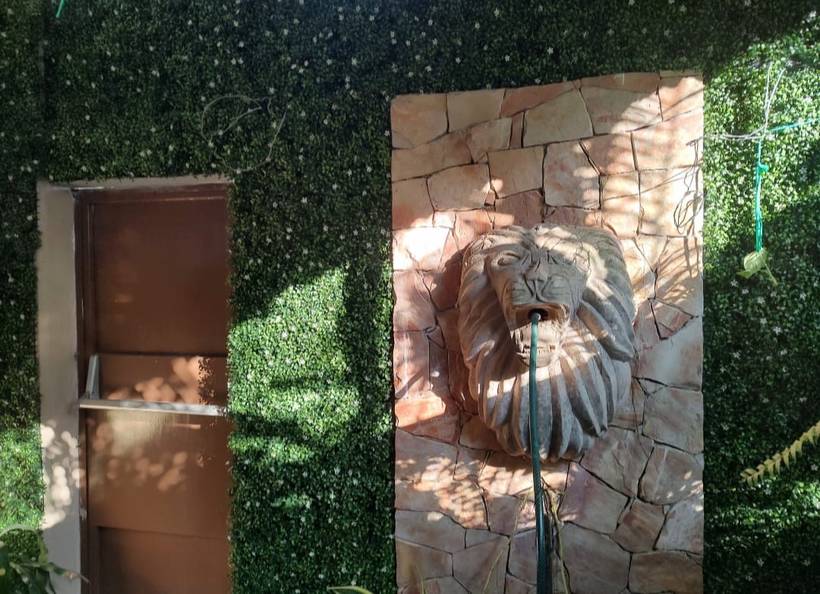 Muro Verde 3