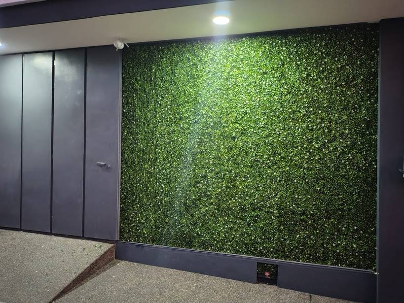 Muro Verde 2